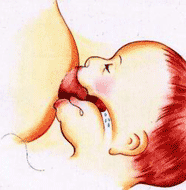 母乳喂养的正确姿势示范